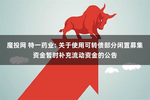 魔投网 特一药业: 关于使用可转债部分闲置募集资金暂时补充流动资金的公告