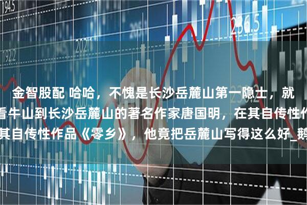 金智股配 哈哈，不愧是长沙岳麓山第一隐士，就像棵无根的树，从故乡看牛山到长沙岳麓山的著名作家唐国明，在其自传性作品《零乡》，他竟把岳麓山写得这么好_鹅毛_要塞_曹雪芹