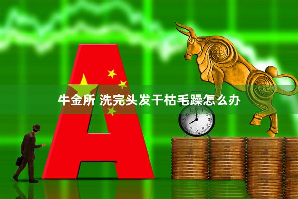 牛金所 洗完头发干枯毛躁怎么办